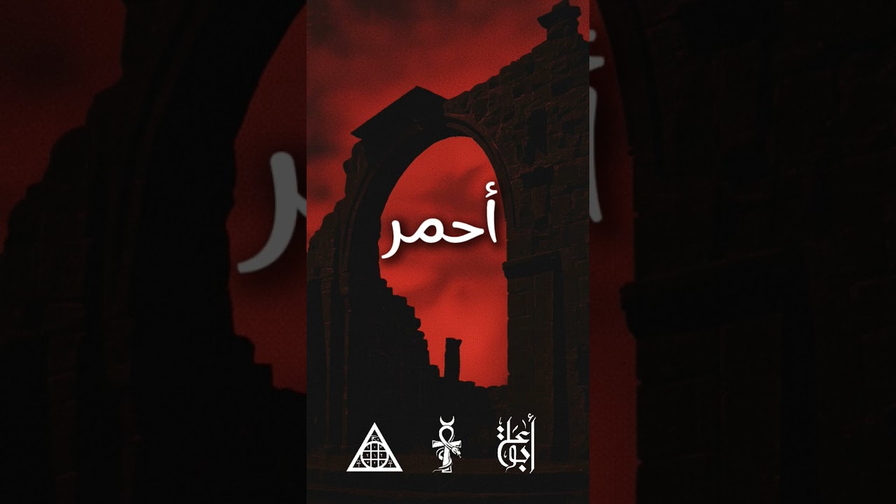 صورة من القناة الرسمية — زئبق
