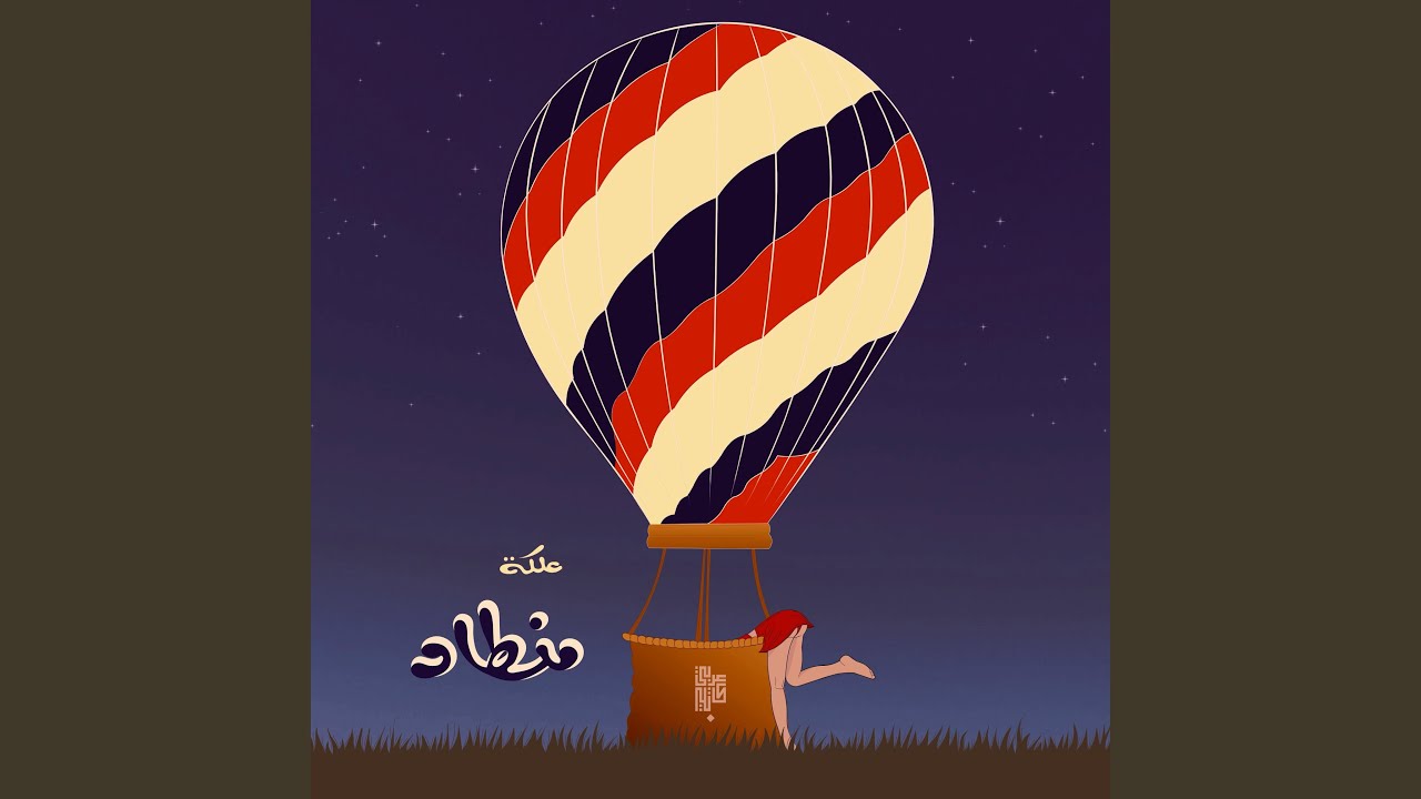 صورة من القناة الرسمية — أنس العربي
