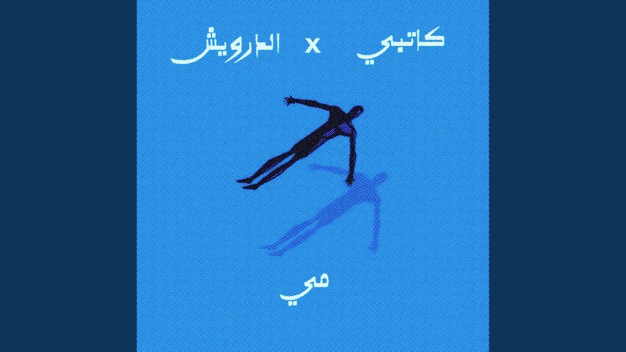 صورة من القناة الرسمية — أنس العربي