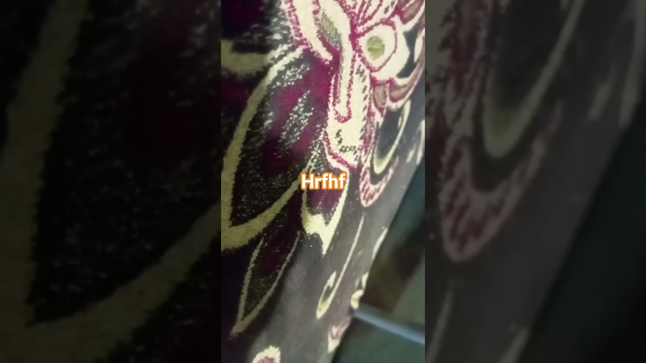 صورة من القناة الرسمية — إيبو 44