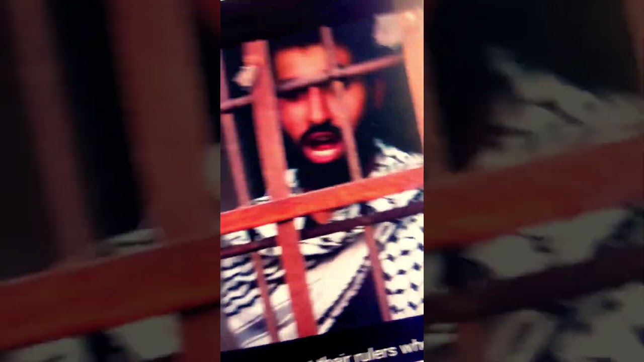 صورة من القناة الرسمية — أمير المعرّي — Amir Almuarri
